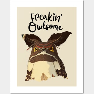 Funny Awesome Great Eared Nightjar is Owlsome Owl Birthday Boy Posters and Art